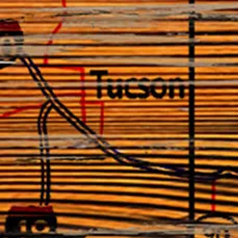 NCAA Arizona Wildcats Distressed State with Logo