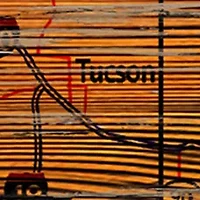 NCAA Arizona Wildcats Distressed State with Logo