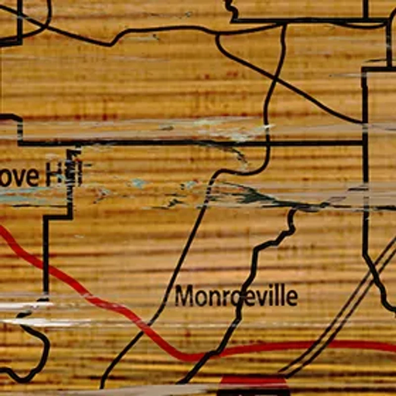 NCAA Auburn University Tigers Distressed State with Logo