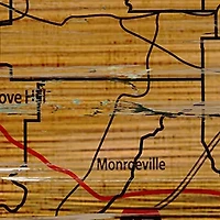 NCAA Auburn University Tigers Distressed State with Logo