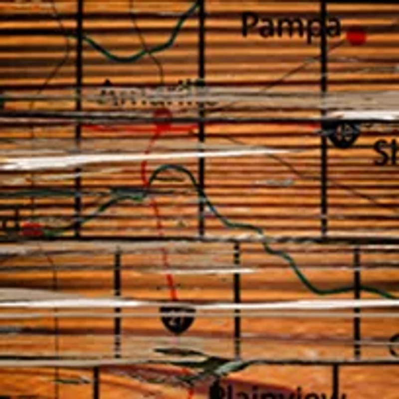 NCAA Baylor Bears Distressed State with Logo