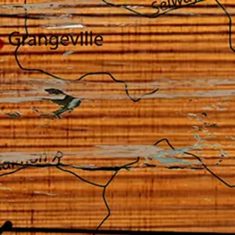 NCAA Boise State Broncos Distressed State with Logo