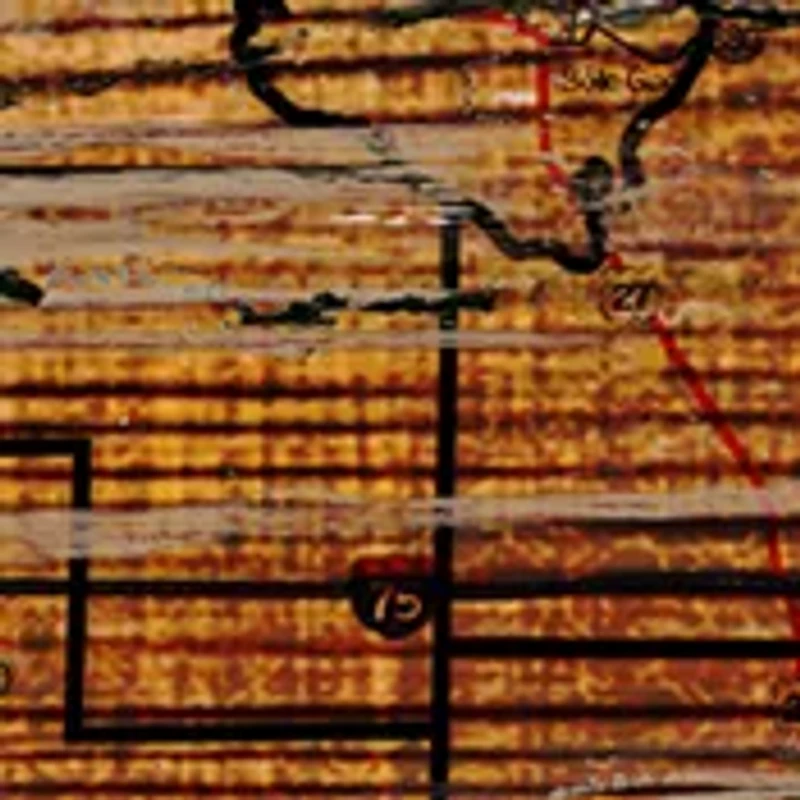 NCAA Florida State Seminoles Distressed State with Logo