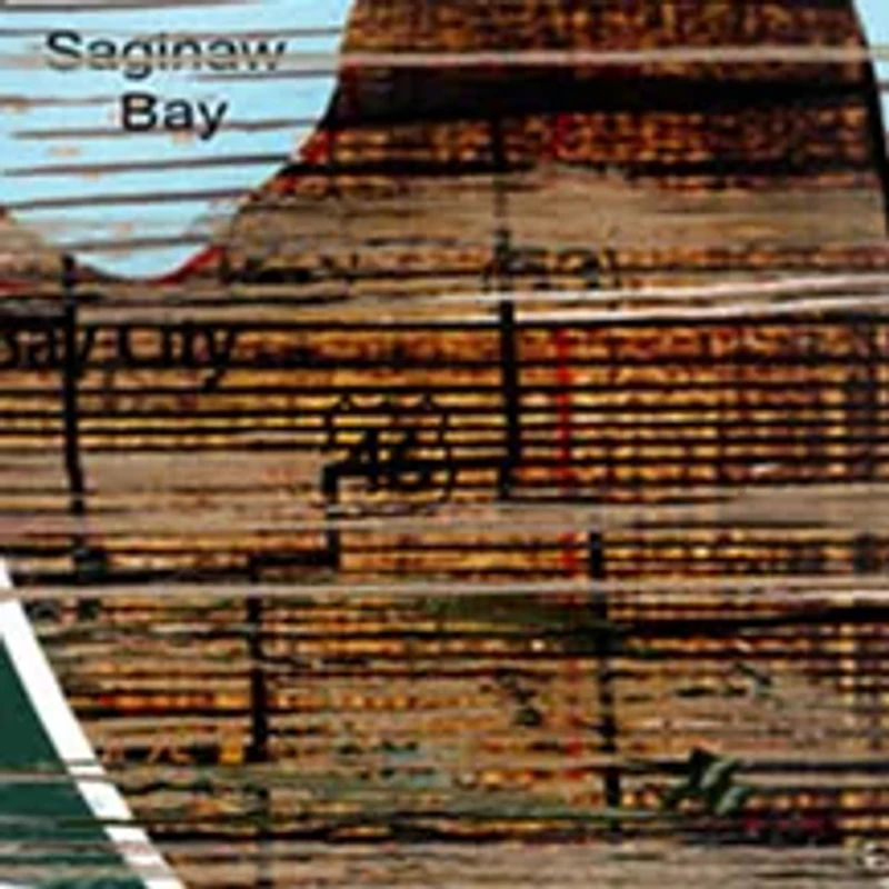 NCAA Michigan State Spartans Distressed State with Logo