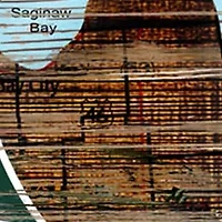 NCAA Michigan State Spartans Distressed State with Logo