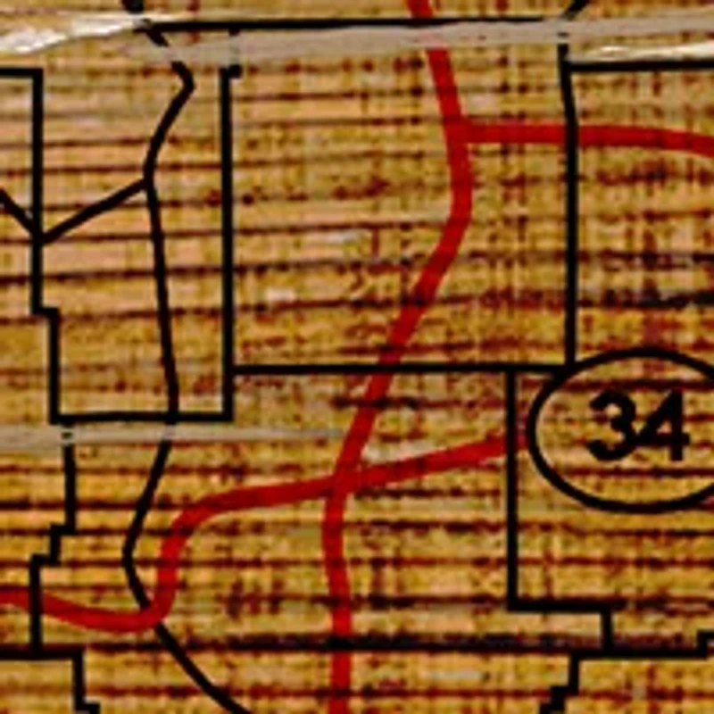 NCAA University of Missouri Tigers Distressed State with Logo