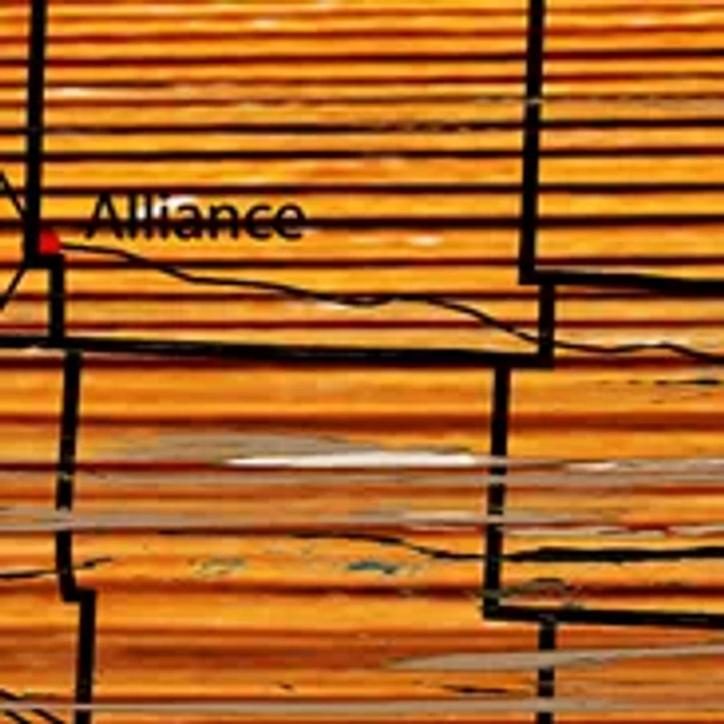 NCAA Nebraska Cornhuskers 24 in x 24 in Distressed State Sign with Logo