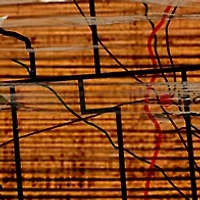 NCAA Ole Miss Rebels Distressed State with Logo