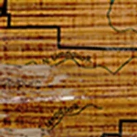  NCAA Oregon State Beavers 24 in x 24 in  Distressed State Sign with Logo