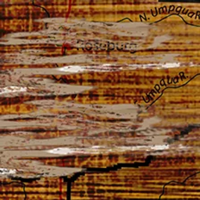 NCAA University of Oregon Ducks Distressed State with Logo