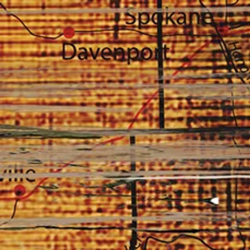 NCAA Washington State Cougars Distressed State with Logo