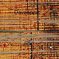 NCAA Washington State Cougars Distressed State with Logo