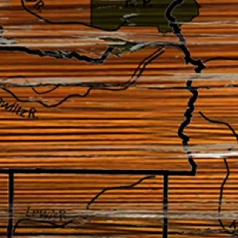 NCAA Washington Huskies Distressed State with Logo