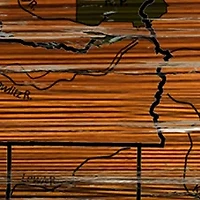 NCAA Washington Huskies Distressed State with Logo