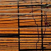 NCAA Wichita State Shockers Distressed State with Logo