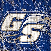 NCAA Georgia Southern Eagles 6 in x 24 in Vertical Heritage Banner
