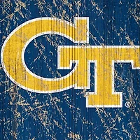 NCAA Georgia Tech Yellow Jackets 6 in x 24 in Vertical Heritage Banner