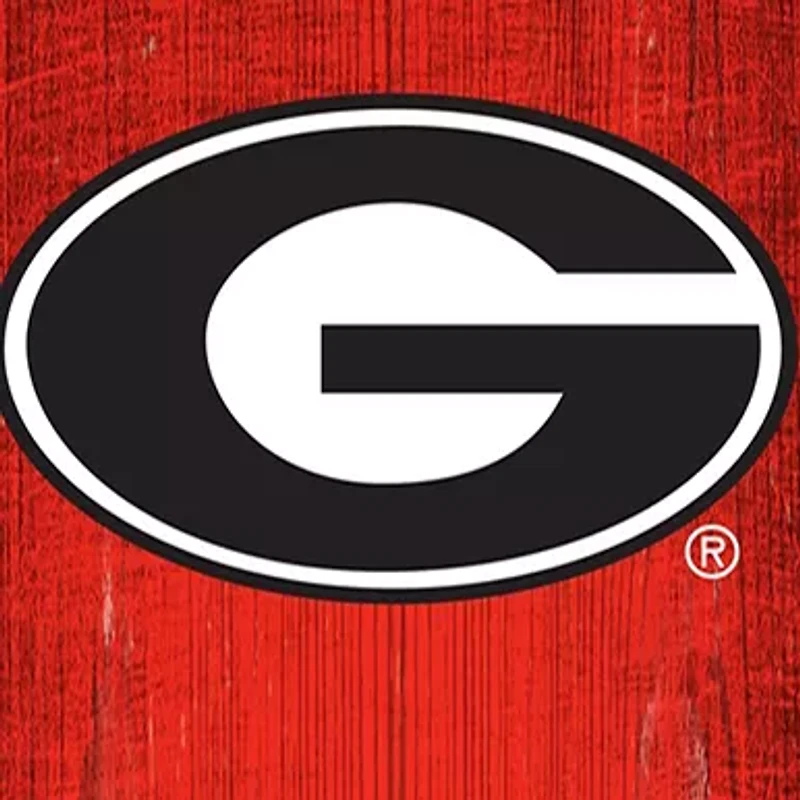 NCAA Georgia Bulldogs 6 in x 24 in Vertical Heritage Banner 