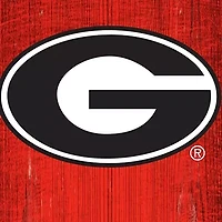 NCAA Georgia Bulldogs 6 in x 24 in Vertical Heritage Banner 