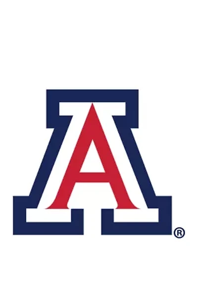 NCAA University of Arizona Wildcats Distressed Logo Cutout Sign