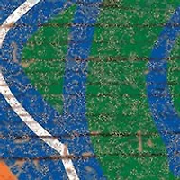 NCAA University of Florida Gators Distressed Logo Cutout Sign