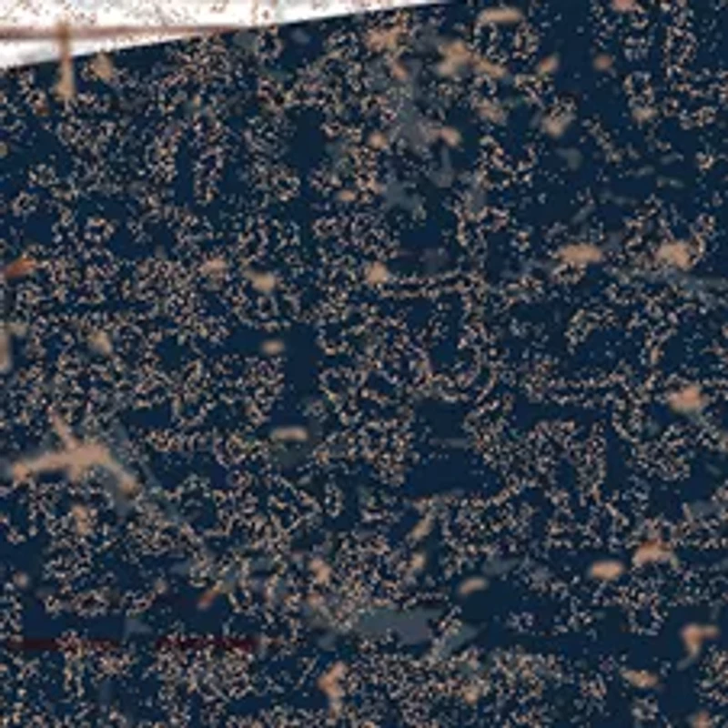 NCAA Utah State Aggies Distressed Logo Cutout Sign