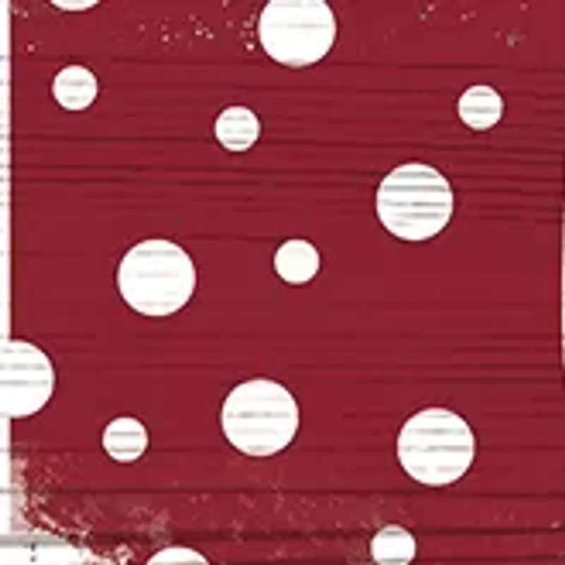 NCAA Iowa State University Sycamores 24 Inch Celebrations Stack Sign