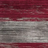 NCAA University of Arkansas Razorbacks 11 in x 19 in Distressed Flag 