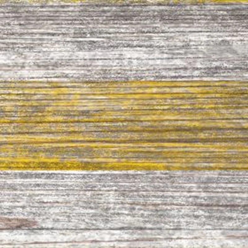  NCAA Michigan Wolverines 11 in x 19 in Distressed Flag 