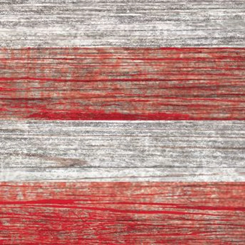 NCAA Nebraska Cornhuskers 11 in x 19 in Distressed Flag