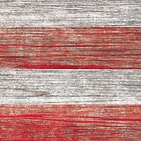 NCAA Nebraska Cornhuskers 11 in x 19 in Distressed Flag