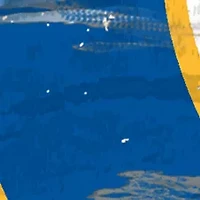 NHL St.Louis Blues Distressed Round Sign