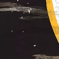 NHL Boston Bruins Distressed Round Sign