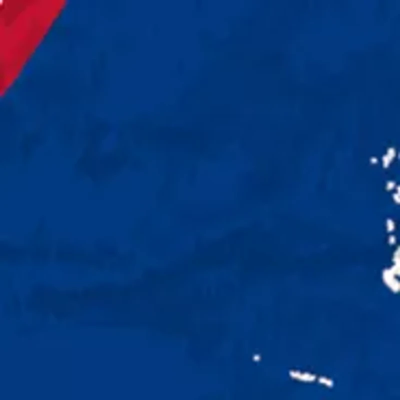 NHL Montreal Canadiens Distressed Round Sign