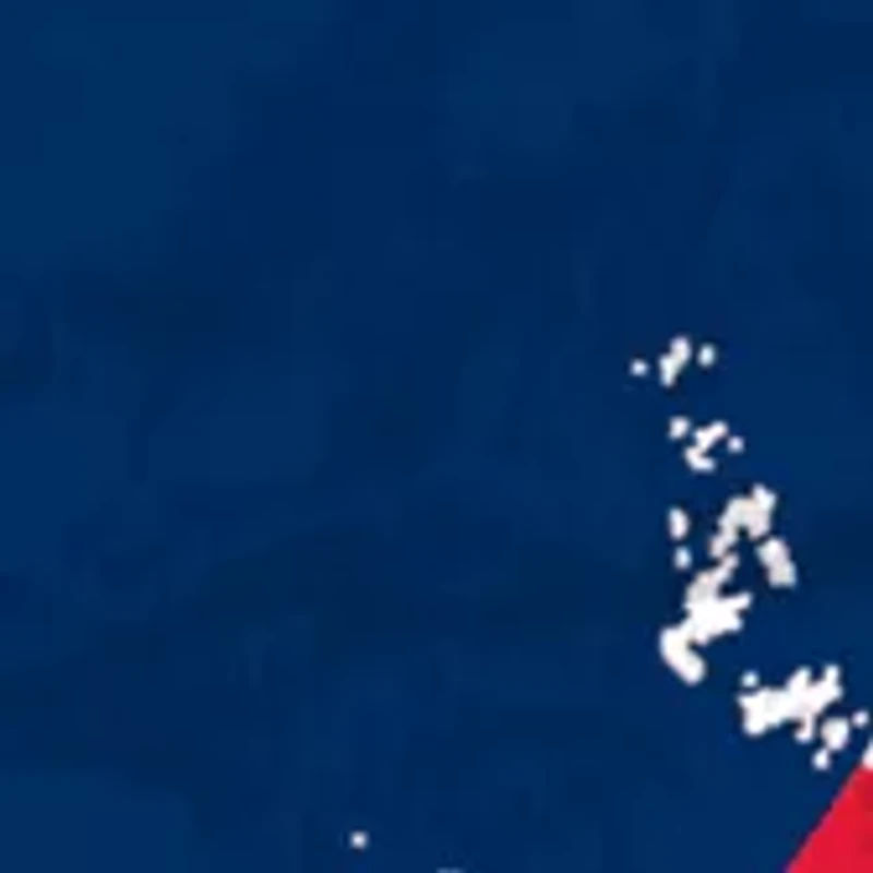 NHL Washington Capitals Distressed Round Sign