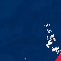 NHL Washington Capitals Distressed Round Sign