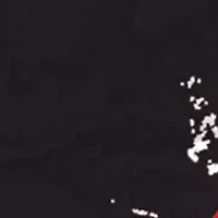 NHL New Jersey Devils Distressed Round Sign