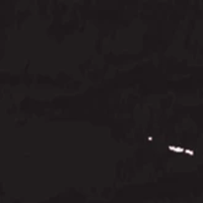 NHL Anaheim Ducks Distressed Round Sign