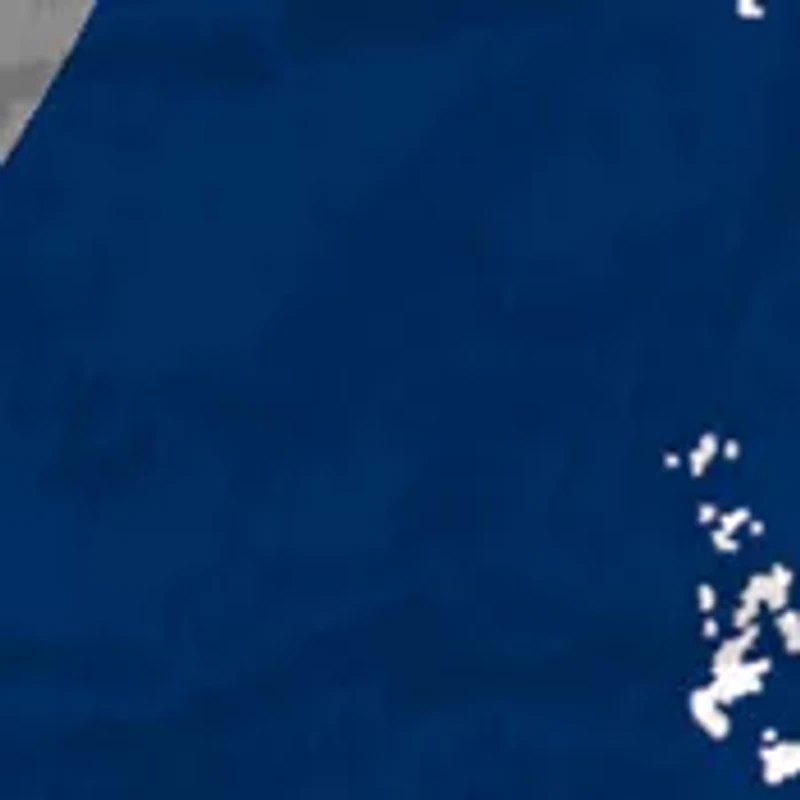 NHL Winnipeg Jets Distressed Round Sign