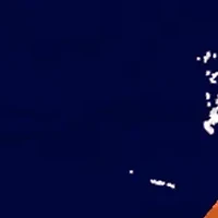 NHL Edmonton Oilers Distressed Round Sign