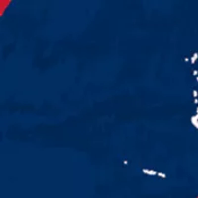 NHL Florida Panthers Distressed Round Sign