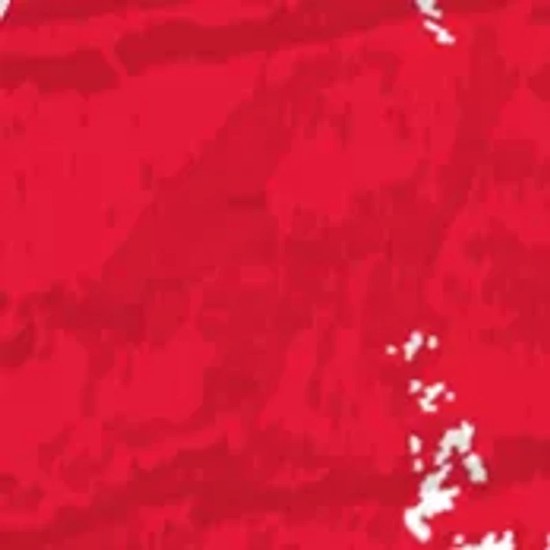 NHL Detroit Red Wings Distressed Round Sign