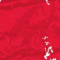 NHL Detroit Red Wings Distressed Round Sign