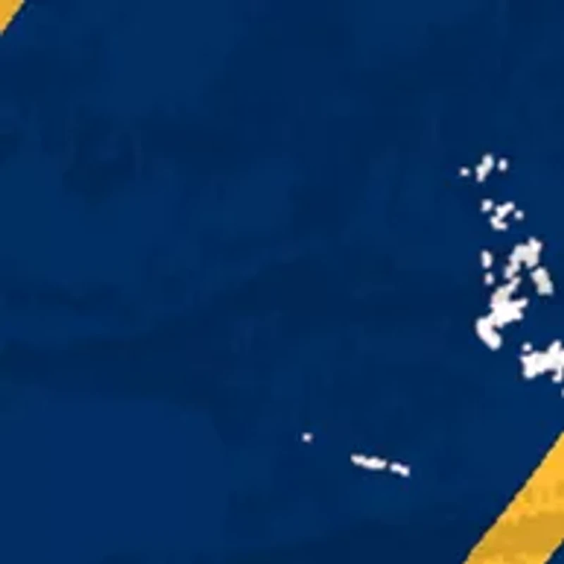 NHL Buffalo Sabres Distressed Round Sign