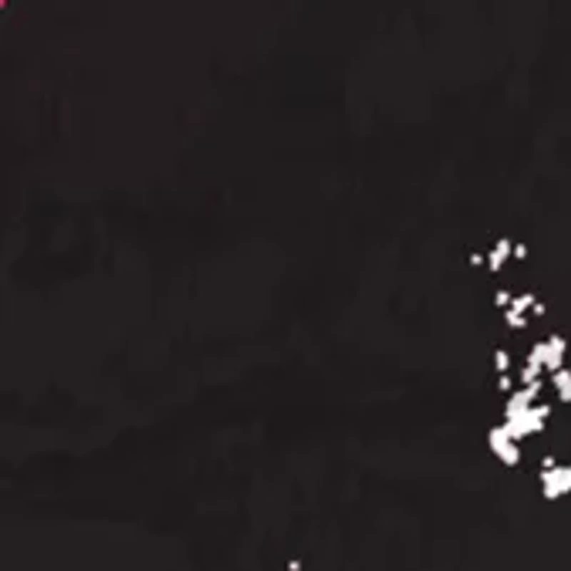 NHL Ottawa Senators Distressed Round Sign