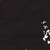 NHL Ottawa Senators Distressed Round Sign