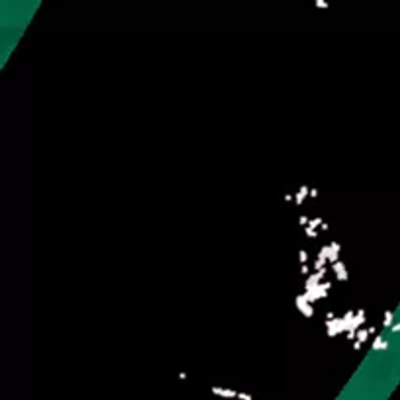 NHL Dallas Stars Distressed Round Sign