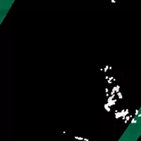 NHL Dallas Stars Distressed Round Sign