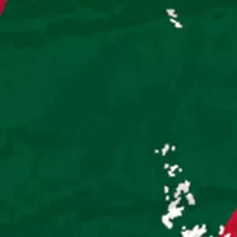 NHL Minnesota Wild Distressed Round Sign