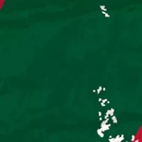 NHL Minnesota Wild Distressed Round Sign